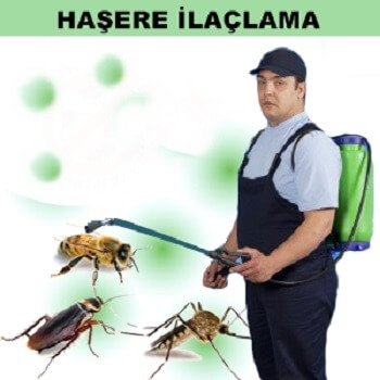 Torul Böcek İlaçlama